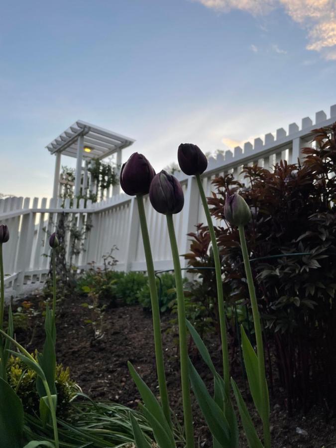 Studio Leilighet, Nyoppusset Langevag Bagian luar foto